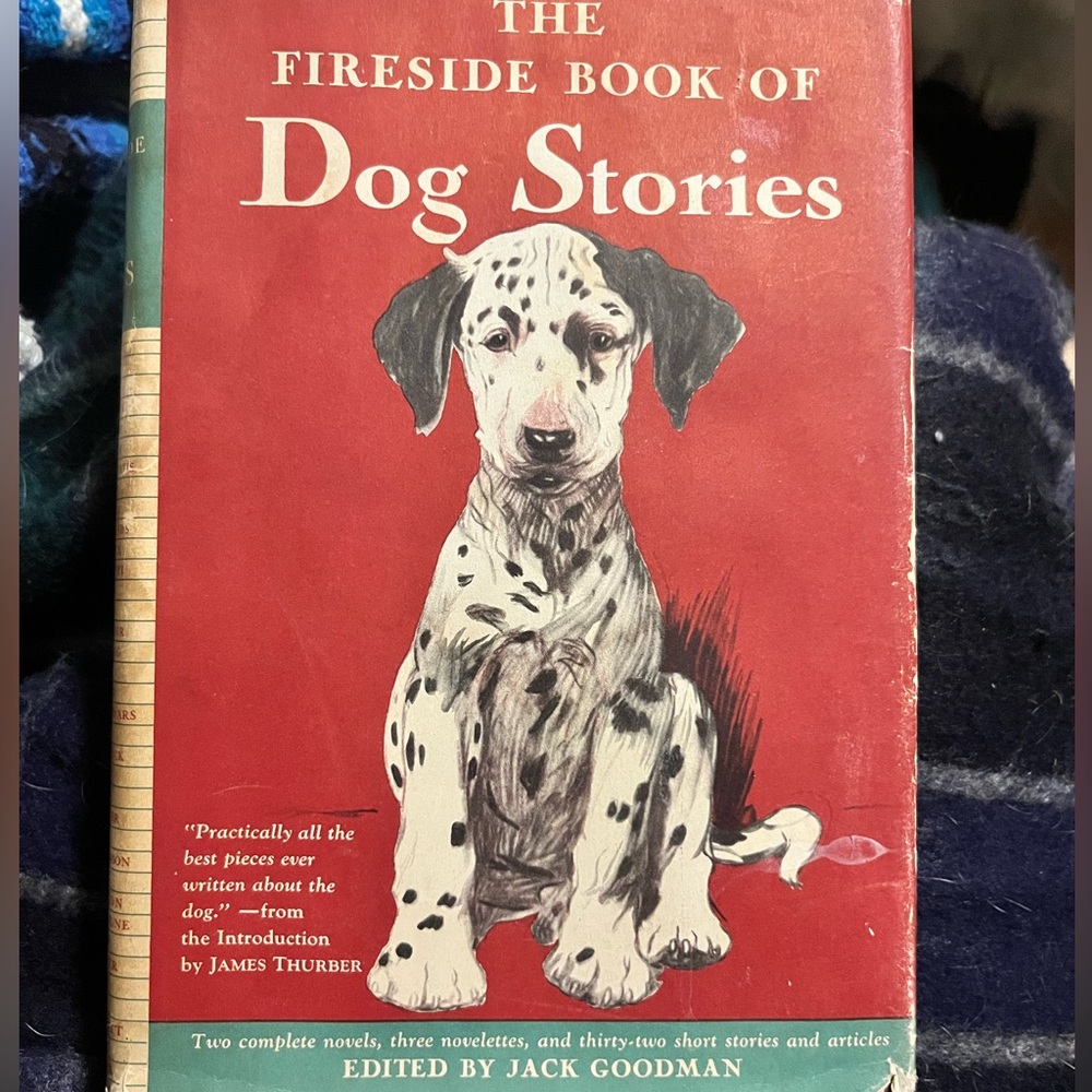 1946 The Fireside Book of Dog Stories Hardcover War Time Dog Map Dust Jacket
